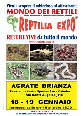 Reptilia expo: l'affascinante mondo dei rettili